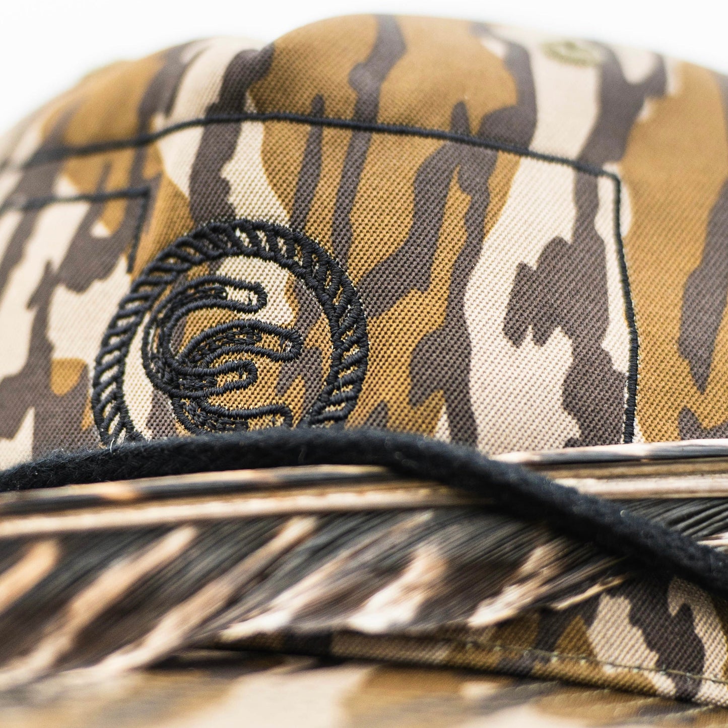 CC Bottomland 256